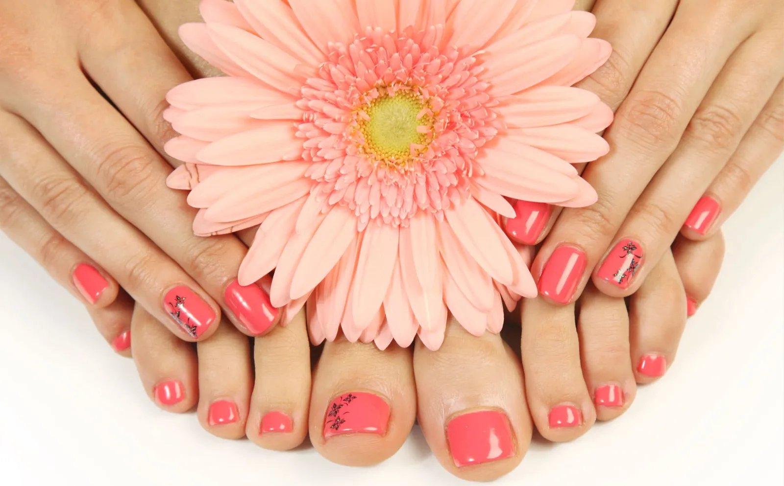 Hands and feet with nails painted coral pink, a few finished with small black flower detail, resting around a pale pink gerbera daisy